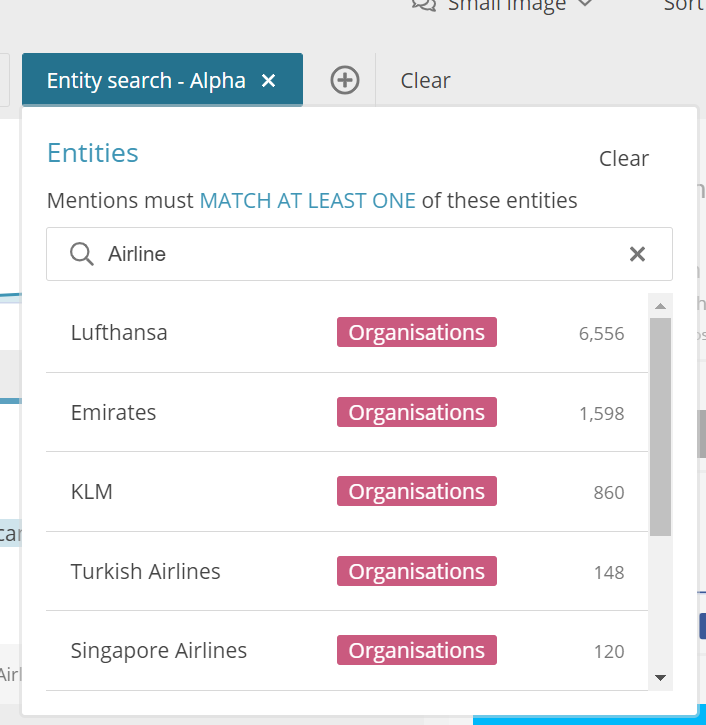 Entity Search