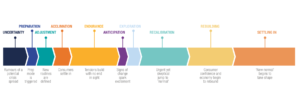 ipsos-pandemic-adaptability