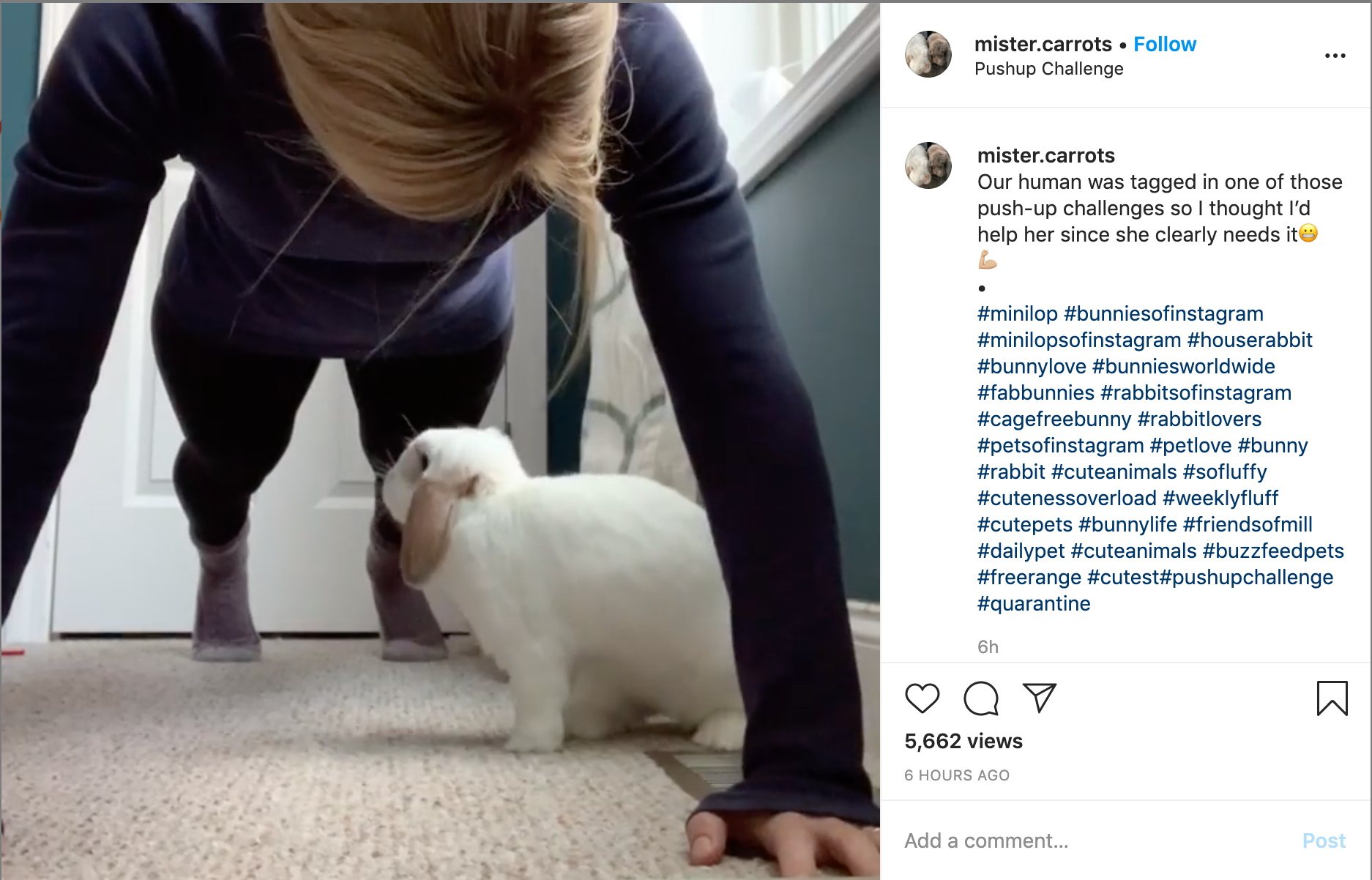 corona-instagram-challenge-1